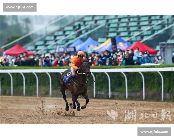 香港赛马会 202526 赛季开锣 4.3 万观众共赴马坛盛事